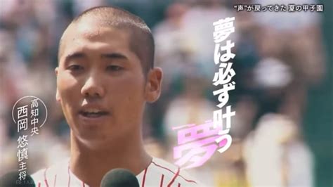 2023甲子園 総集編 虹高橋優 感動 高校野球 Wacoca News