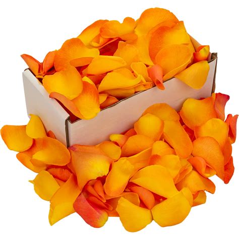 1 Box Of Orange Rose Petals Uk