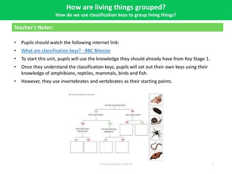 Middle School Lab Worksheet Classification Using A Dichotomous Key