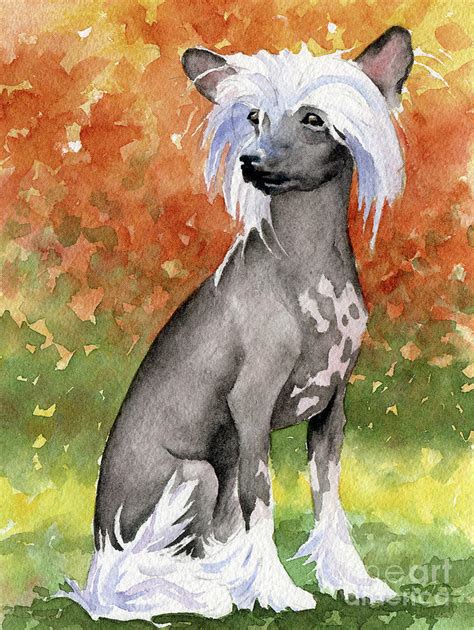 Chinese Crested Dog Painting By David Rogers Fine Art America