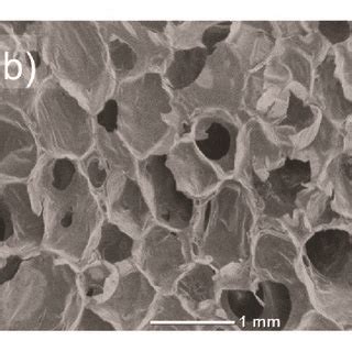 FTIR Spectra Of 1 Polyol 2 Switchgrass Lignin And 3 MDI A