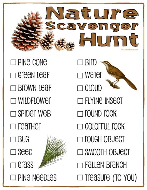 Childrens Outdoor Scavenger Hunt List