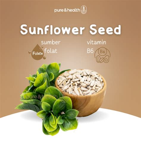 Jual Sunflower Seed 1 Kg Kuaci Biji Bunga Matahari Kupas Natural Super