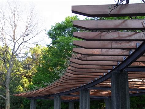 Casual Japanese Bystander: Eventually a Wisteria Trellis