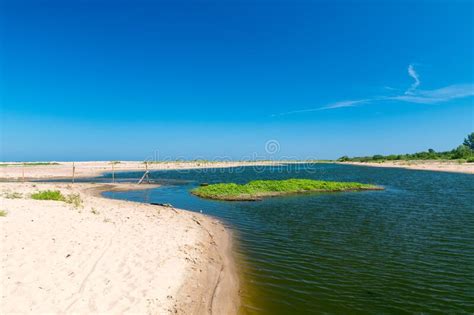 Reserva Natural Mewia Lacha Con Nidos De Aves En La Isla Sobieszewo