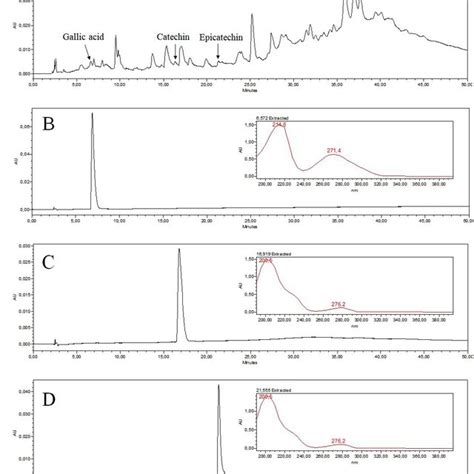 Hplc Pda Chromatographic Profiles λ 254 Nm Of A Sample Extract