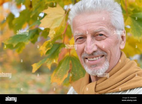 Elderly Man Posing In Autumn Park Stock Photo Alamy