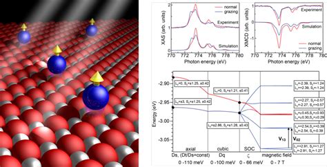 Maximizing The Magnetic Anisotropy Of Transition Metal Atoms