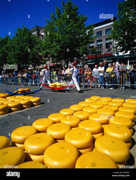 Cheese Market , Alkmaar, Holland (Netherlands Stock Photo - Alamy