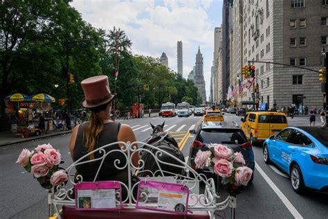 Polêmica em Nova York carruagens puxadas por cavalos no Central Park