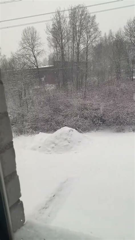 Snowfall In April Takatalvi Trending Viral Beautiful Finland