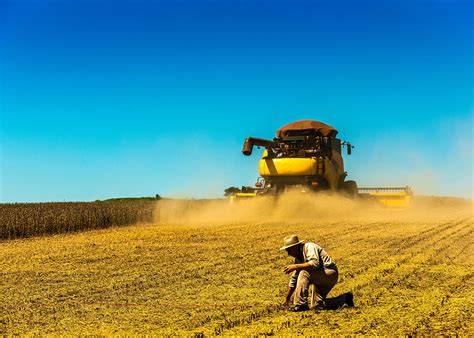 M Todo Reduz Perdas Na Colheita Da Soja No Paran Sou Agro