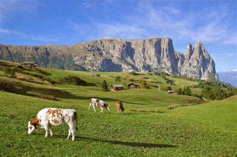 Super Dolomiten Wander Safari Strier Reisen