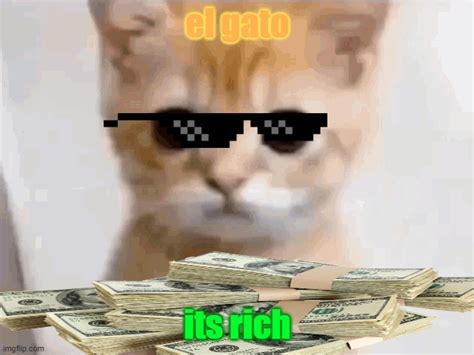 Rich Gato Imgflip