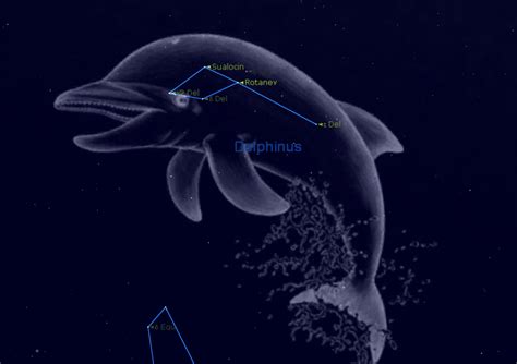 A Star Called 'Bob'? Dolphin Constellation's Weird Star Names Explained ...