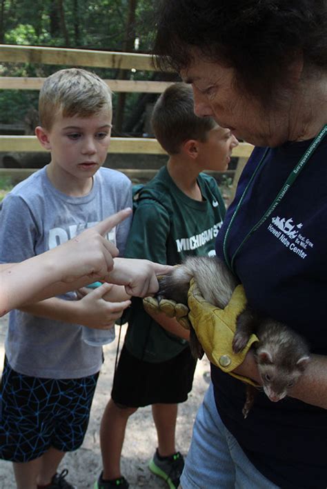 Wildlife Education - Howell Nature Center