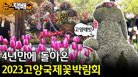 4년만에 돌아온 2023 고양국제꽃박람회 일산호수공원 끼고 야외정원 걸어볼까 ⧫ 《고양신문 뉴스택배 Ep184