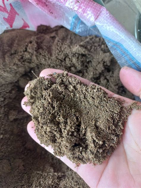 SOIL SILT SOIL FAST IRRIGATION SOIL 5 KILOS PURE SILT SOIL FOR PLANT OR TO MIXED OTHER SOIL ...