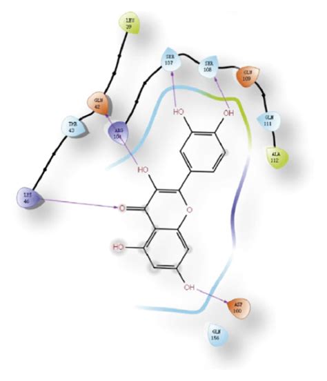 Molecular Docking Between Quercetin And Related Targets A E