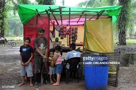 25 Bajo Aguan Valley Photos & High Res Pictures - Getty Images