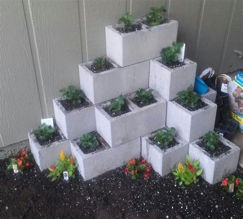 Dyi Cinder Blocks Flowerbeds Raised Garden Garden Flower Beds