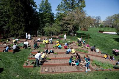 Day By Day: White House Kitchen Garden