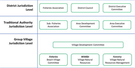 Malawi's decentralized local government structure showing linkages ...