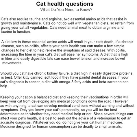 Cat health questions | 1elegantof