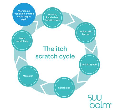 Break The Itch Scratch Cycle