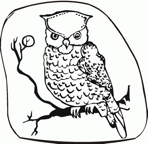 Free Printable Owl Coloring Pages For Kids