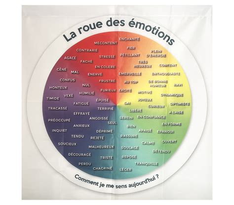 Grande Roue Des Emotions Cm Souriez Vous Jouez