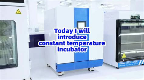 Biobase Laboratory Incubator Water Jacket Constant Temperature