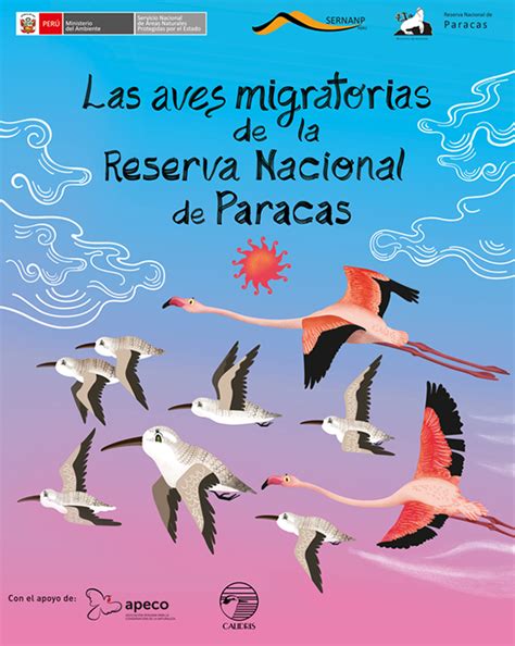 En la ruta de las aves migratorias de laBRNP | Behance