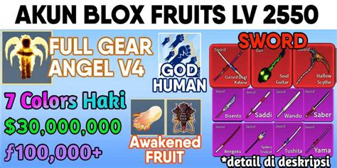 BLOX FRUITS Account Blox Fruits Full Gear Awaken Race ANGEL V4