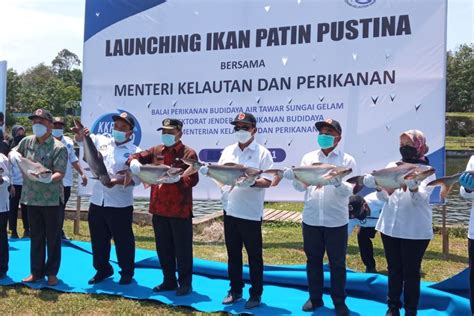 Menteri Kelautan Dan Perikanan Harapkan Jambi Punya Kampung Perikanan