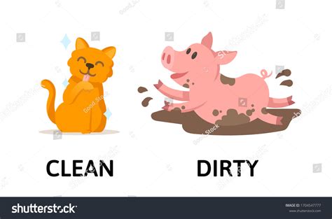 Words Clean Dirty Textcard Cartoon Cat Stock Vector Royalty Free