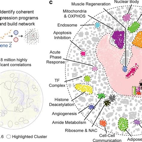 A map of gene expression programs in healthy and diseased skeletal ...