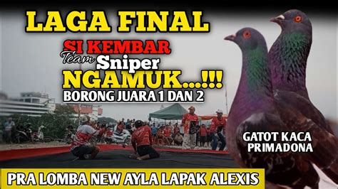 Finalteam Sniper Menggilak Borong Juara Dan Total Hadiah Jt Pra