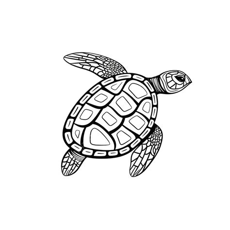 Turtle Monoline Line Art One Line Animal Turtle Drawing Animal