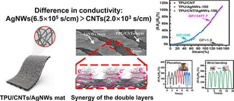 Double Layered Conductive Network Design Of Flexible Strain Sensors For