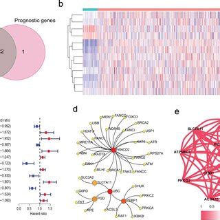 Identification Of The Candidate Ferroptosisrelated Genes In The Cancer