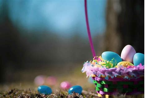 2023 Oshkosh Easter Guide Egg Hunts Bunny Visits Brunch And More