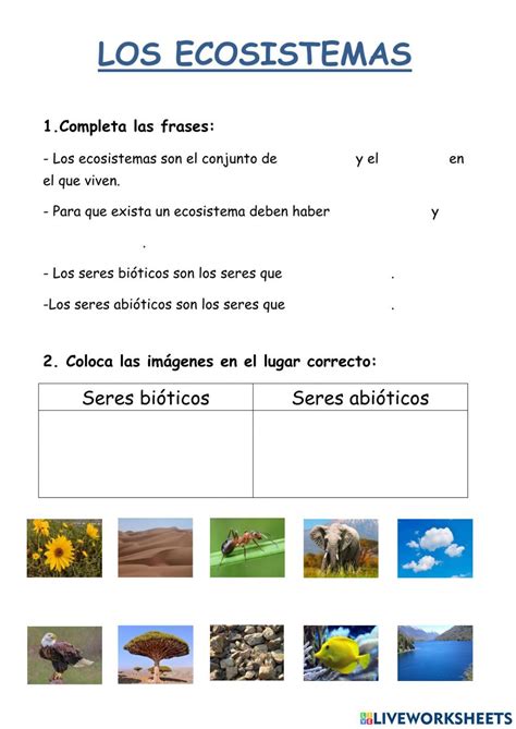 Ficha Interactiva De Los Ecosistemas Para Primaria Puedes Hacer Los