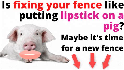 Pig Lipstick Lipstutorial Org