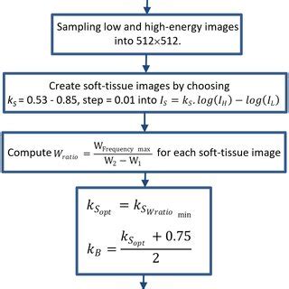 Proposed Algorithm For Determining Bone And Soft Tissue Factors