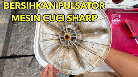 Bersihkan Mesin Cuci Sharp Aquamagic 2 Tabung YouTube