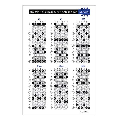 Resonator Dobro Guitar Chords Scales And Fretboard Poster Set GBDGBD