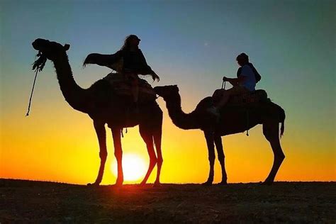 Berber Dinner In Marrakech Agafay Desert Sunset Camel Ride Book Tours