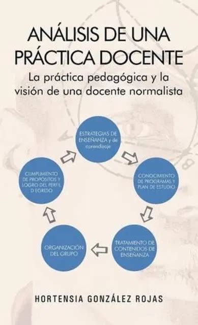 ANLISIS DE UNA Prctica Docente La Pr Ctica Pedag Gica Y La Visi N De