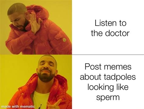 Listen To The Doctor Post Memes About Tadpoles Looking Like Sperm Ade With Mematic Ifunny